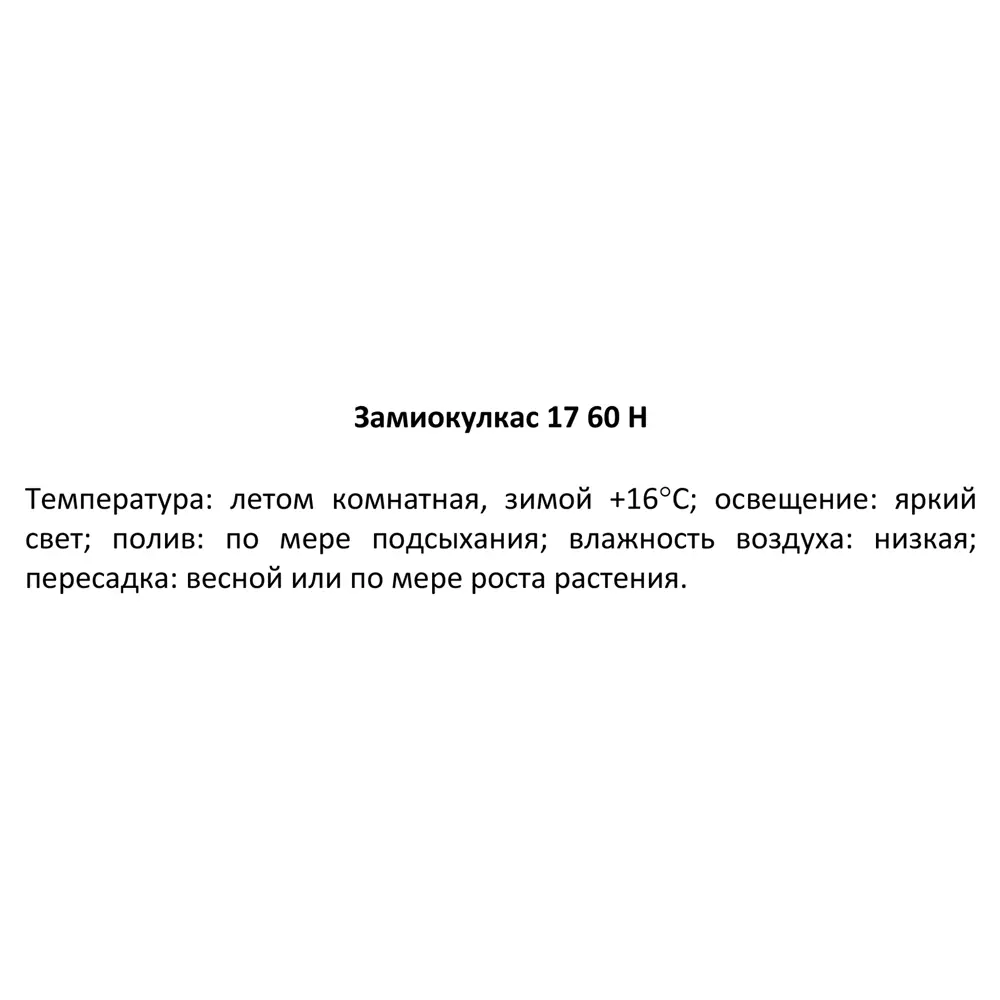 Santreyd Замиокулькас Ланцетовидный — неприхотливое комнатное растение 85324963 STLM-0061527 - Вид №3