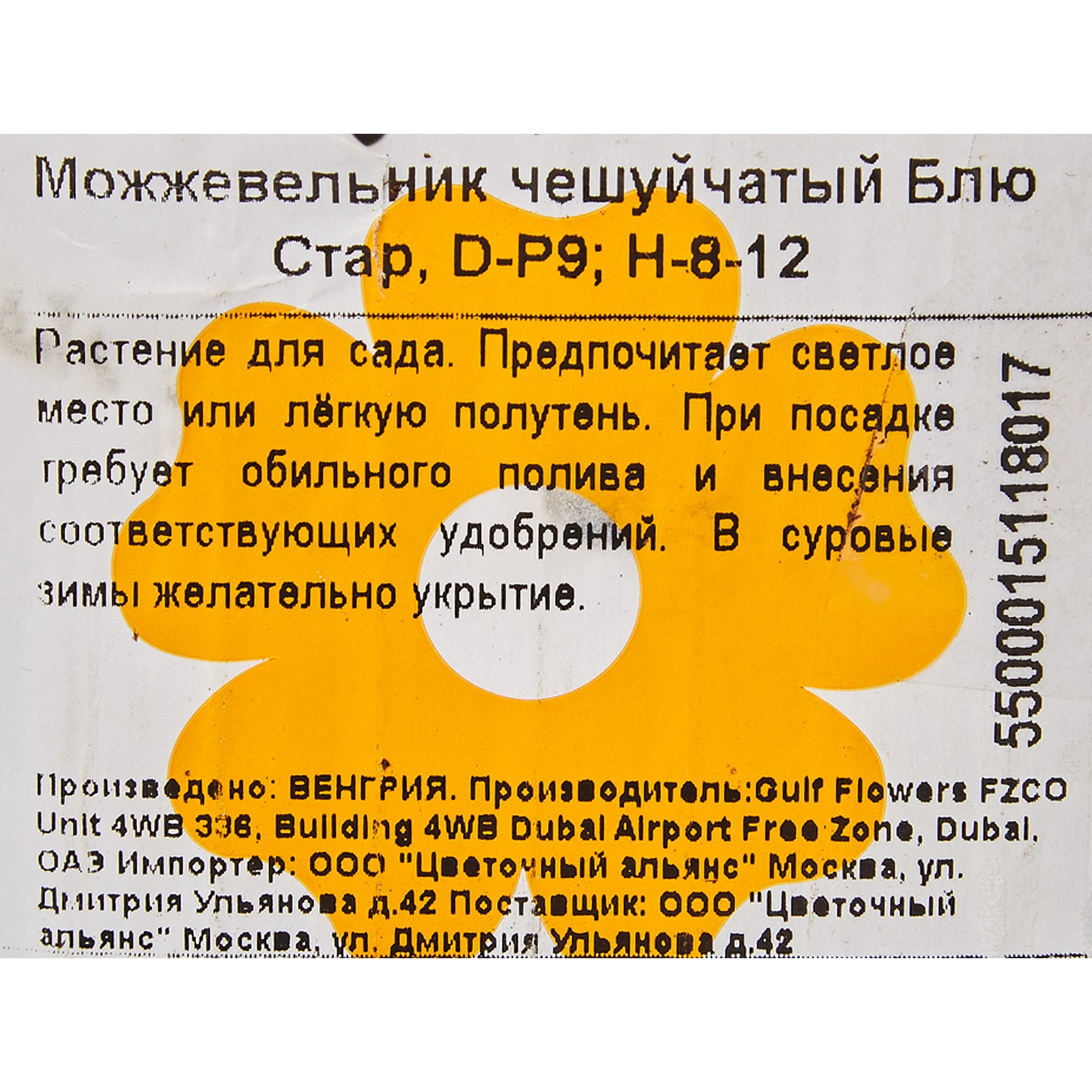 82601673 Можжевельник чешуйчатый «Блю Стар» 9x10 см Santreyd  - Вид №1