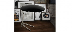 005166 Настольная лампа Meola Delightfull