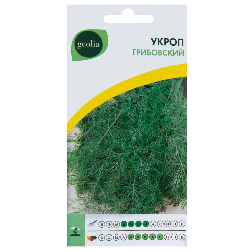 GEOLIA Укроп Грибовский - ароматная зелень для дома и сада 17584621 STLM-0008315