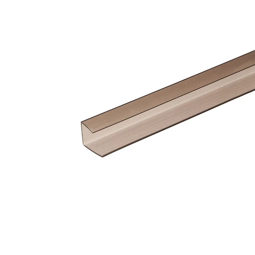 Профиль торцевой для поликарбоната Колибри 6 мм 2.1 м бронзовый Santreyd STLM-2136752