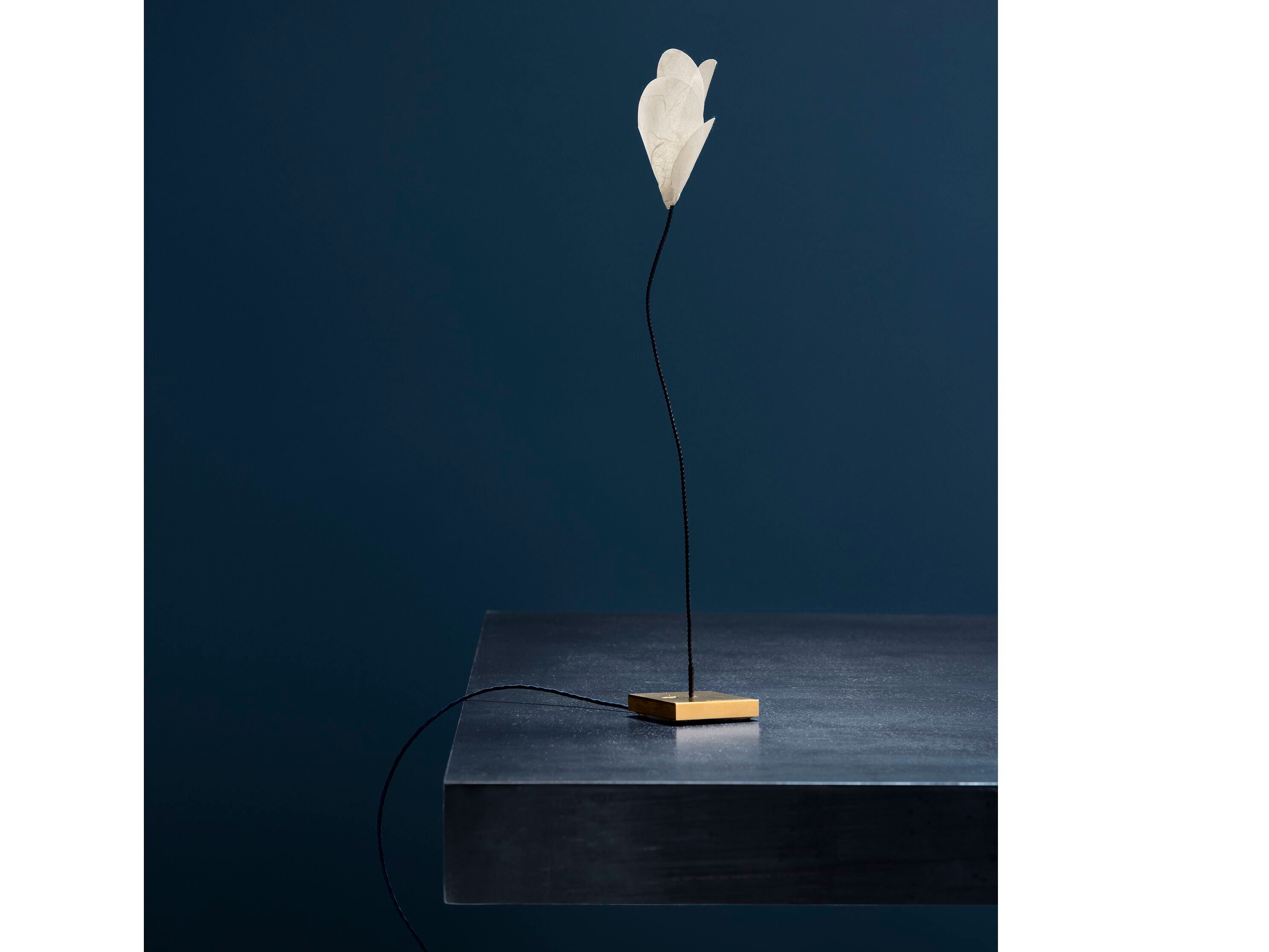 Светодиодная настольная лампа Catellani & Smith вечные предметы ARCH-00042539