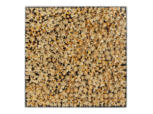 Декоративная рамка / объект стены