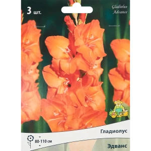Гладиолус крупноцветковый Эдванс 3 шт. 83588518 STLM-2138643