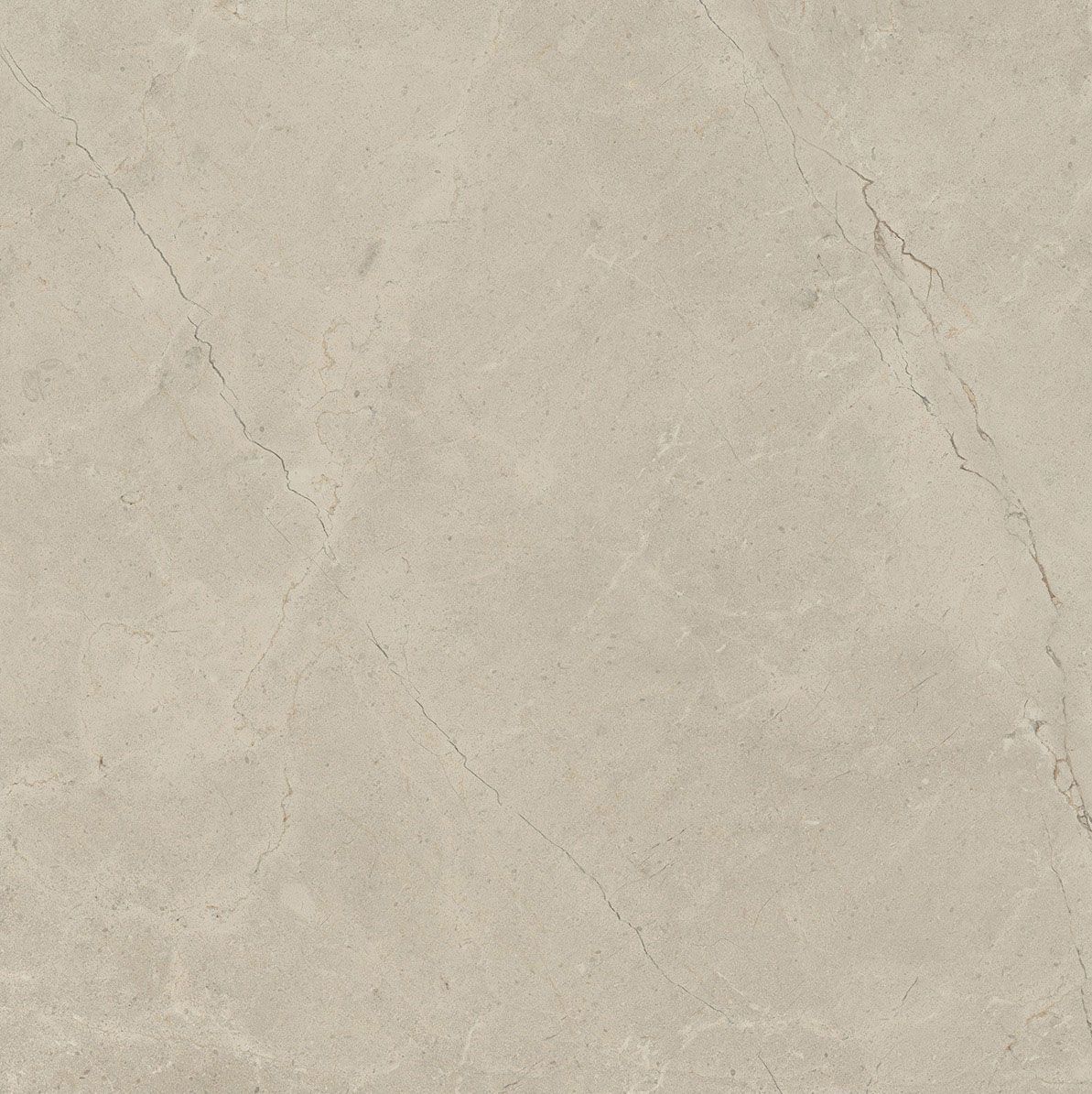 Пол / облицовка керамогранита с эффектом камня Italgraniti Calcis ARCH-00112215 - Вид №29