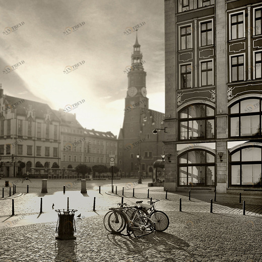 C1-162 Фотообои DIVINO Collection C 2.7х3 м C1162