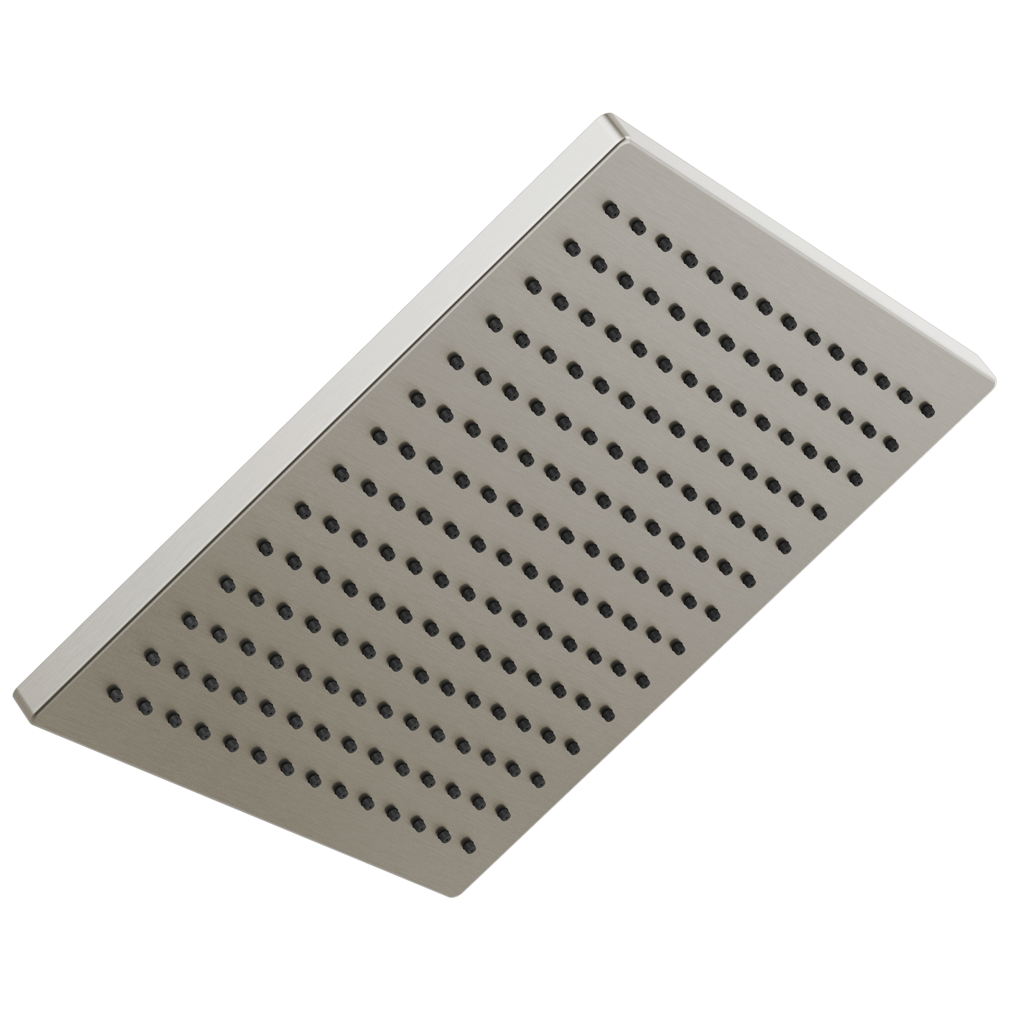 Металлическая душевая лейка Raincan с одинарной настройкой Delta Faucet 52159-SS25