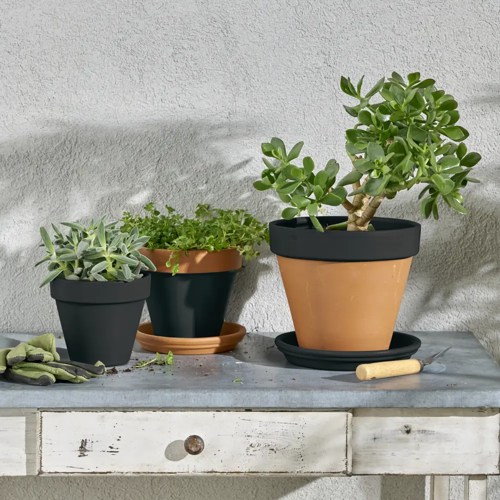 Аэрозольная эмаль Luxens матовая черная для интерьера и экстерьера 83237425 STLM-0039778 - Вид №5