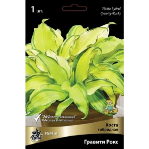 Хоста Гравити Рокс - многолетнее корневище для сада 89433497