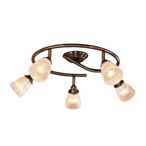 Спот потолочный коричневый Citilux "Виндзор" CL539551 CITILUX ВИНДЗОР 00-3924105 Коричневый