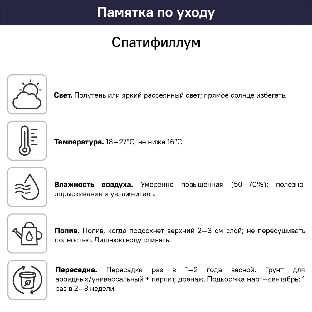 Спатифиллум ø24 h100 см 89412371 STLM-2135536 Santreyd  - Вид №1