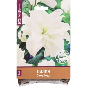 Лилия Сноуборд 12/14, 1 шт 82539384 STLM-2064338