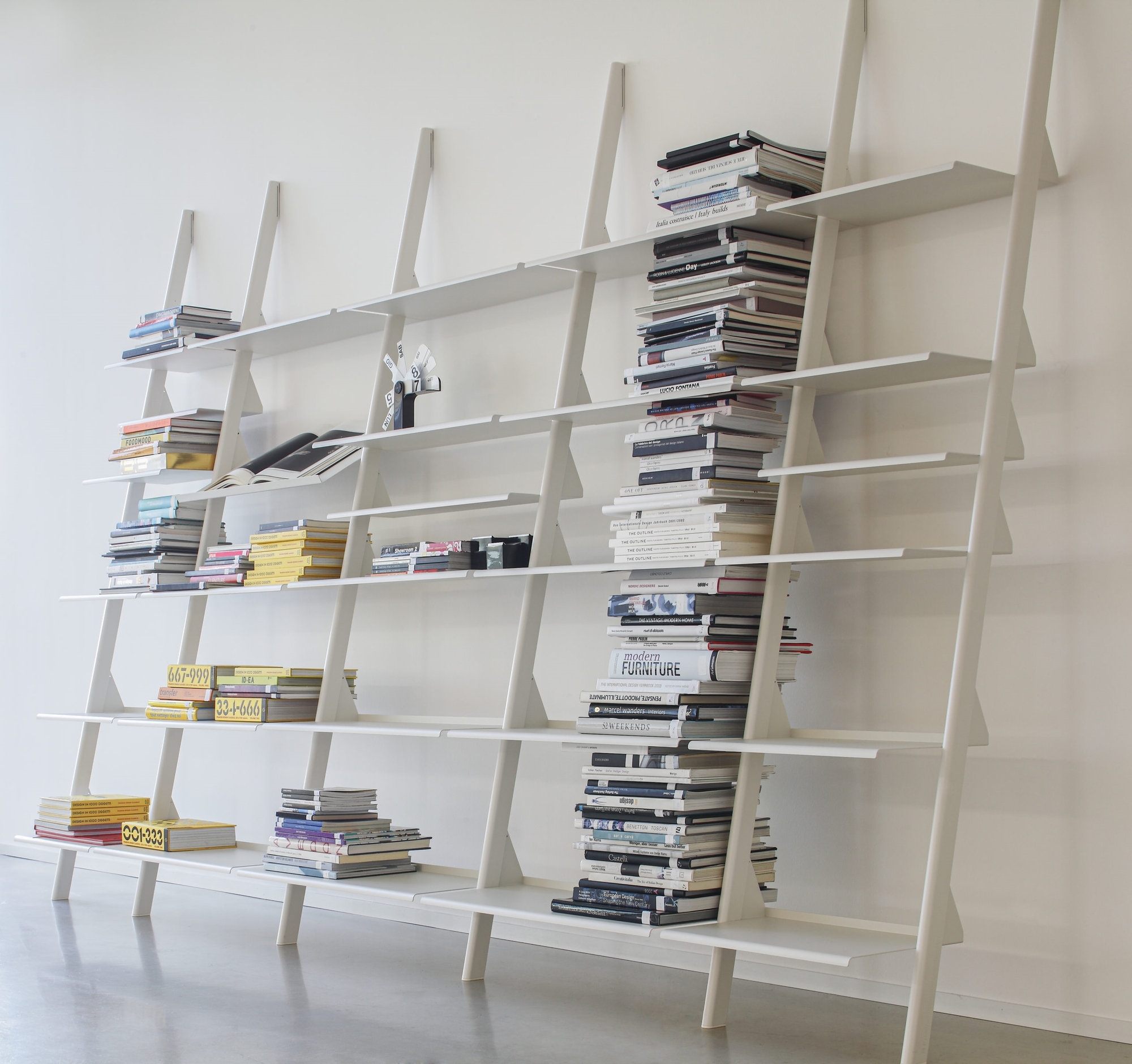 Тайк - Дикая группа Magis sun-id-1328971 - Вид №6