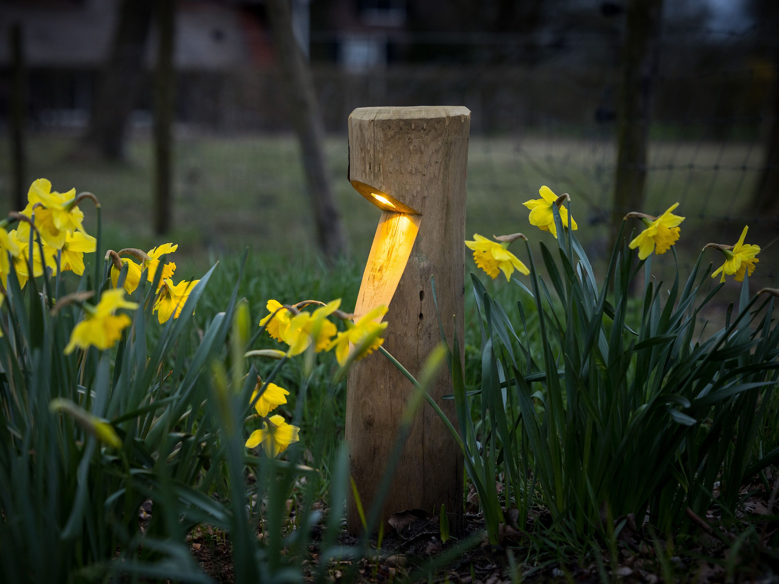 Каштановый светодиодный световой столб Timberlab BOSCO ARCH-00137906 - Вид №2