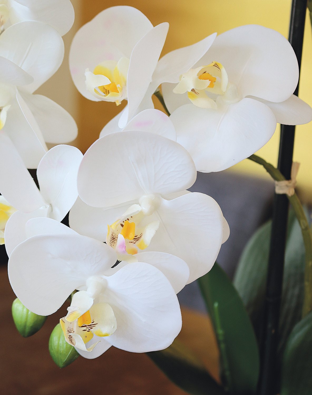 2772 778 a3 Пластиковая орхидея Phalaenopsis, 2-х кратная, горшечная, 45 см, real touch, бежево-белая H-andreas  - Вид №4