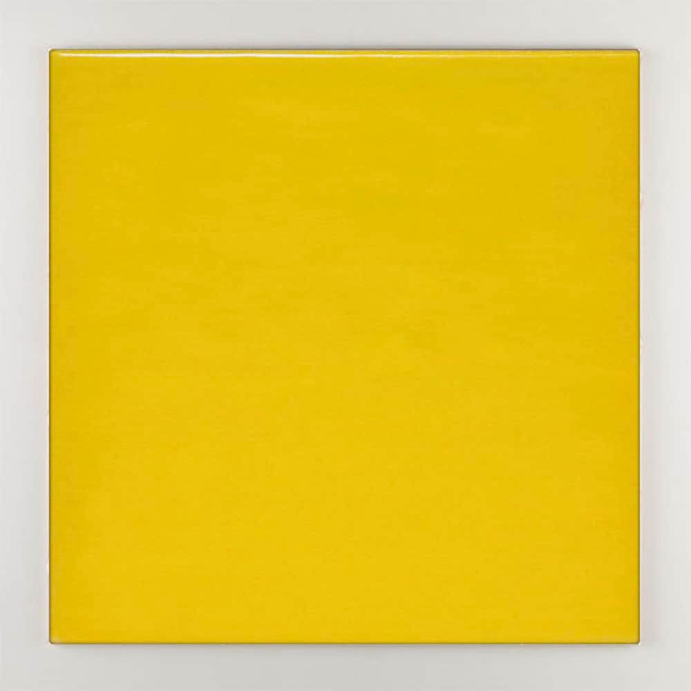 Пол / покрытие ручной работы La Riggiola одноцветный ARCH-00045281 - Вид №16