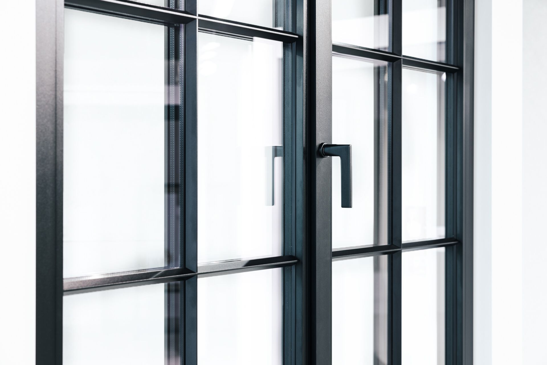 Алюминиевая створчатая дверь-окно WnD MIRU STEEL ARCH-00048683 - Вид №2