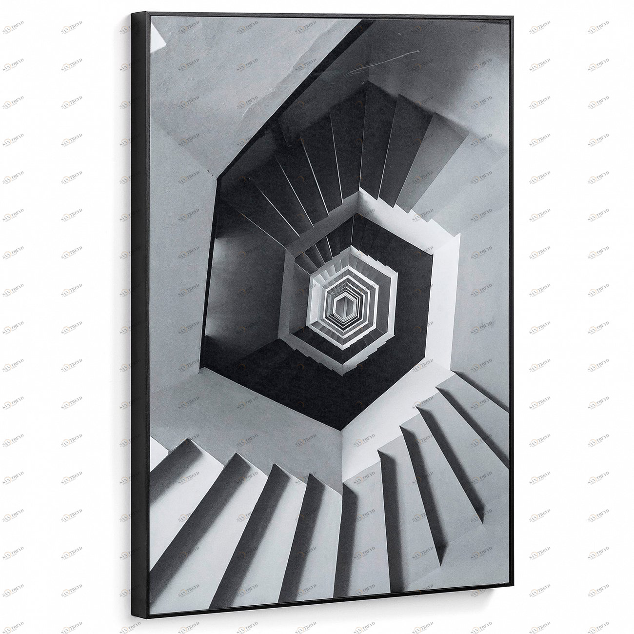 Картина на стену черно-белая 70х50 см "Аскла. Лестница" от La Forma LA FORMA ASCLA 343064 Черный 