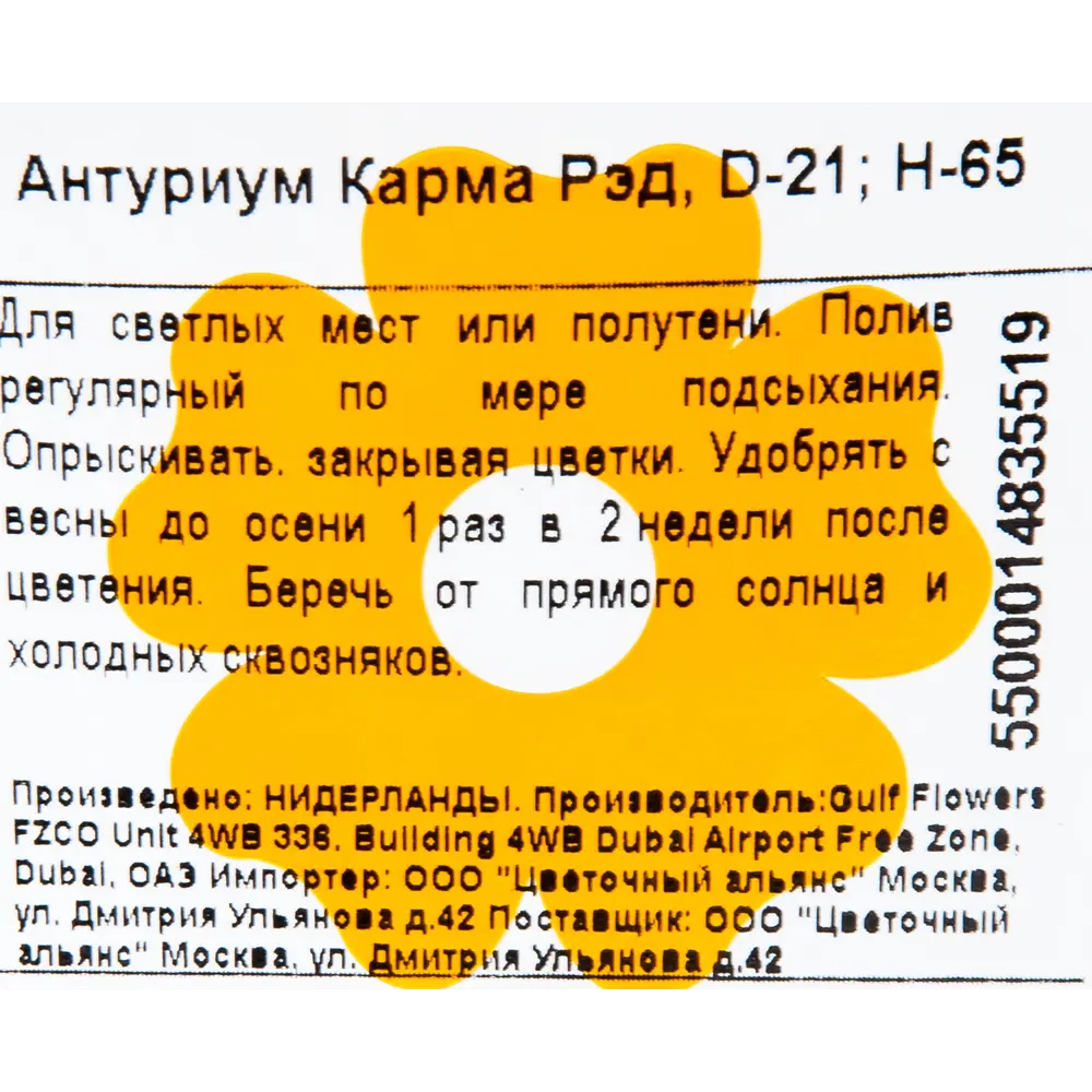 Антуриум Карма Рэд 21x65 см 82548635 STLM-2084594 Santreyd  - Вид №2