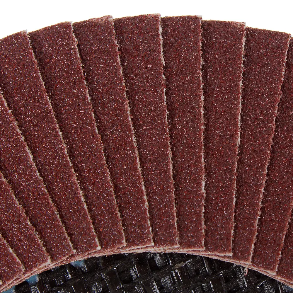 Лепестковый шлифовальный круг FLEXIONE 125 мм для грубой обработки 81929903 STLM-0014057 - Вид №1