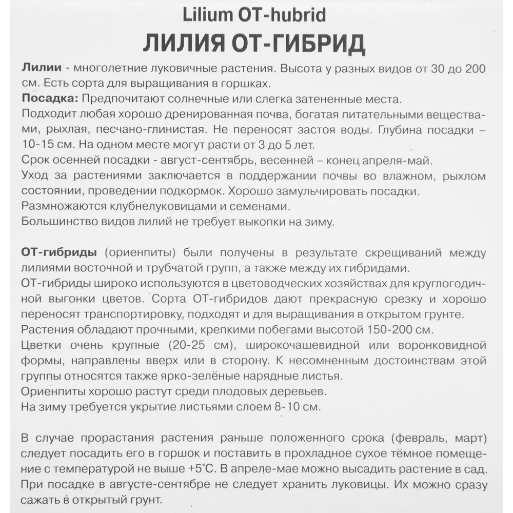 Лилия ОТ-гибрид Гензано 1 шт. 83588550 STLM-2031409 Santreyd  - Вид №2