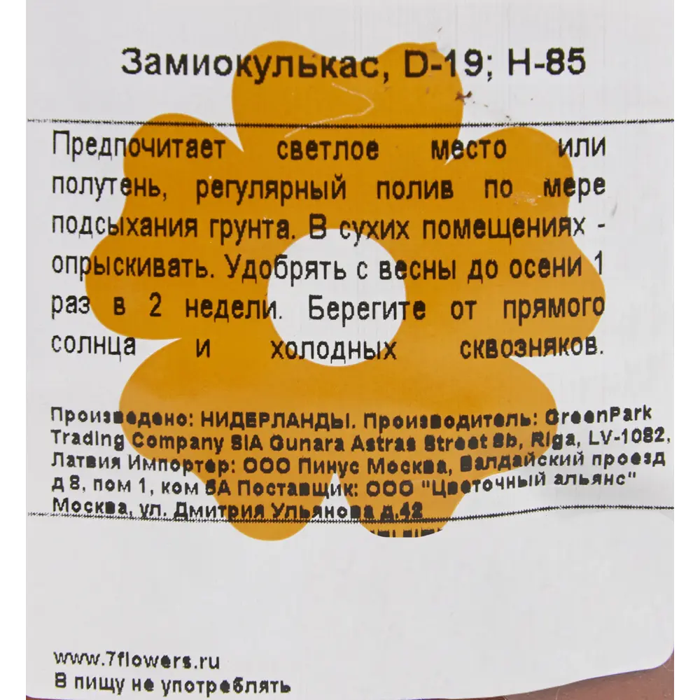 Замиокулькас ø19 h85 см 82399646 STLM-2014739 Santreyd  - Вид №2