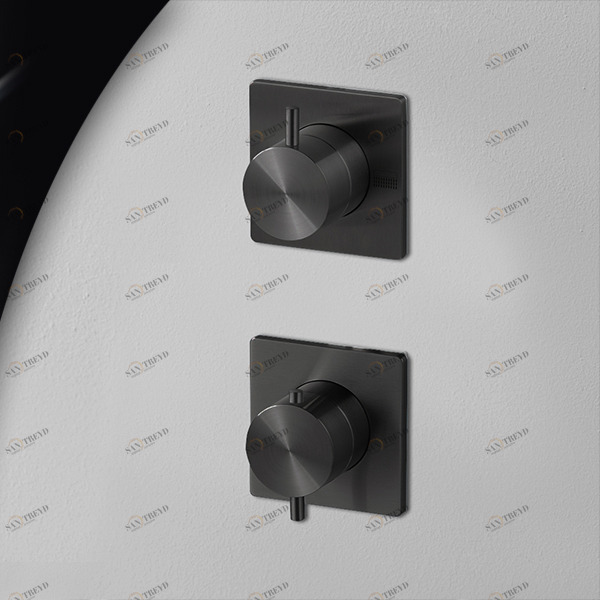 Термостат для душа карбон AICO Radomonte TER93C