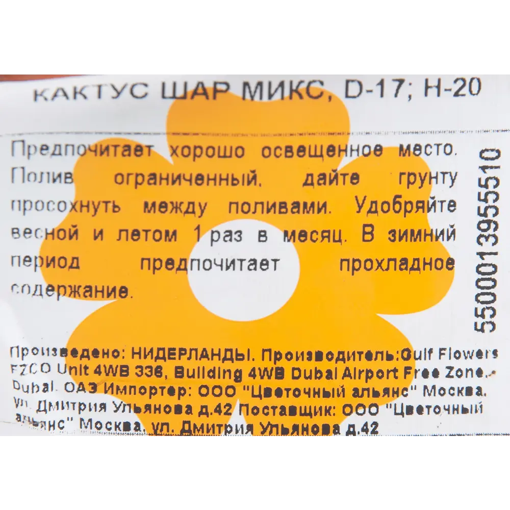 Кактус шар микс 17x20 см 82850420 STLM-2089195 Santreyd  - Вид №2