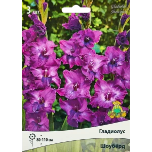 Гладиолус крупноцветковый Шоуберд, 3 шт. 89351798 STLM-2156408