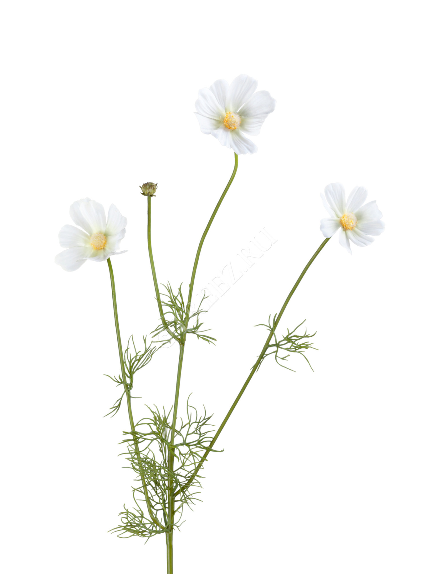 30.0614174CR Космея Элегант белая ветвь Цветочная коллекция 