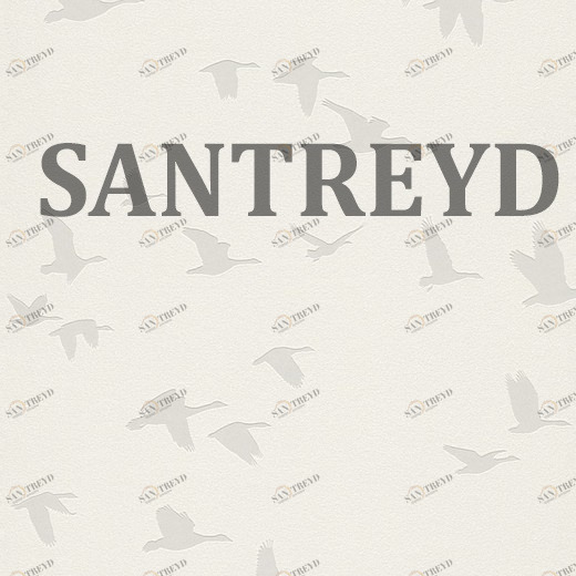 503340 Обои Rasch Kids & Teens II