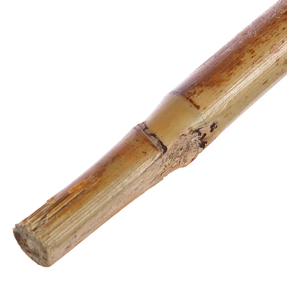 GARDMAX Бамбуковая опора для растений 90 см - надежная поддержка цветов 81951911 STLM-0014835 - Вид №1