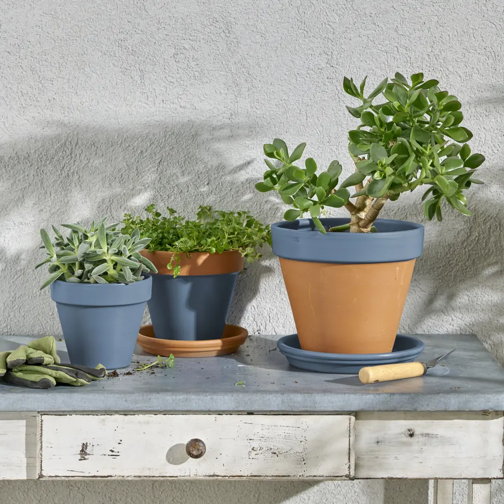 Аэрозольная эмаль Luxens голубая полуматовая для интерьера и улицы 520 мл 83237365 STLM-0039723 - Вид №6