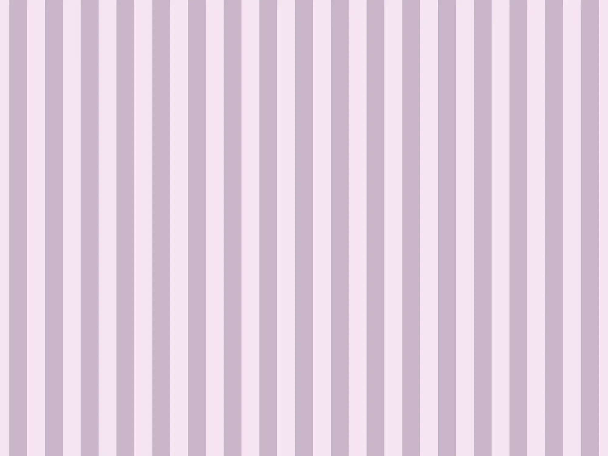 Обои с рисунком Ressource La Rayure ARCH-00107838 - Вид №1