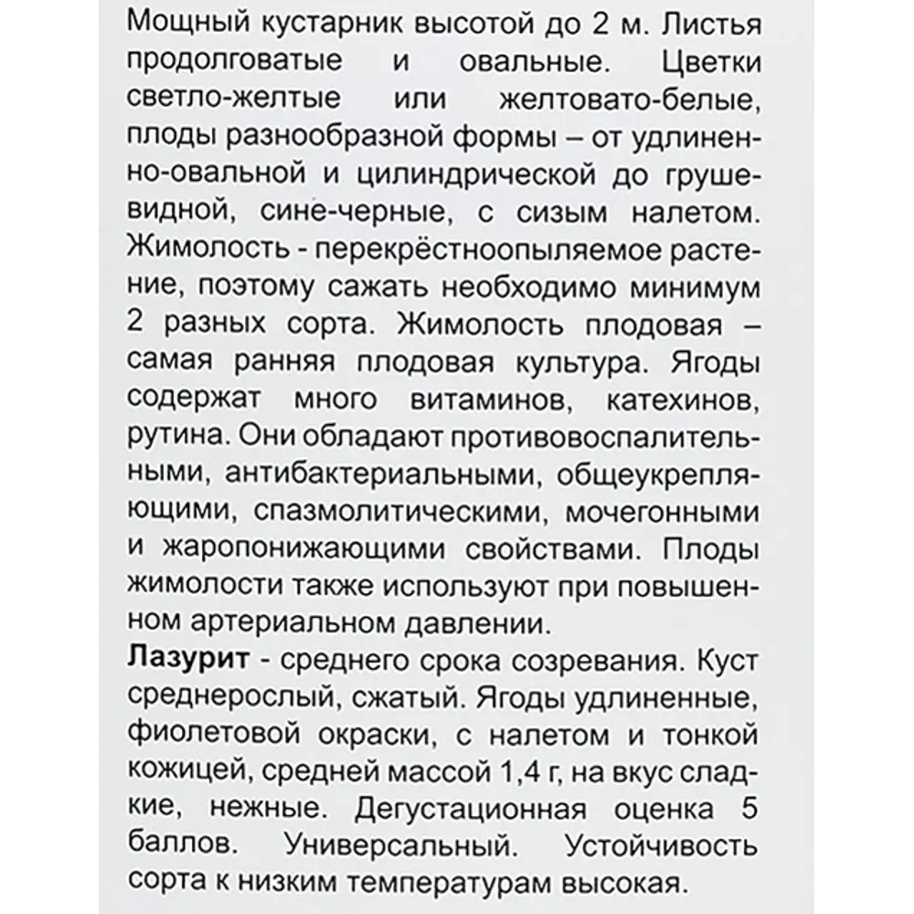 Жимолость съедобная Лазурит h40 см 86543990 STLM-2029574 Santreyd  - Вид №3
