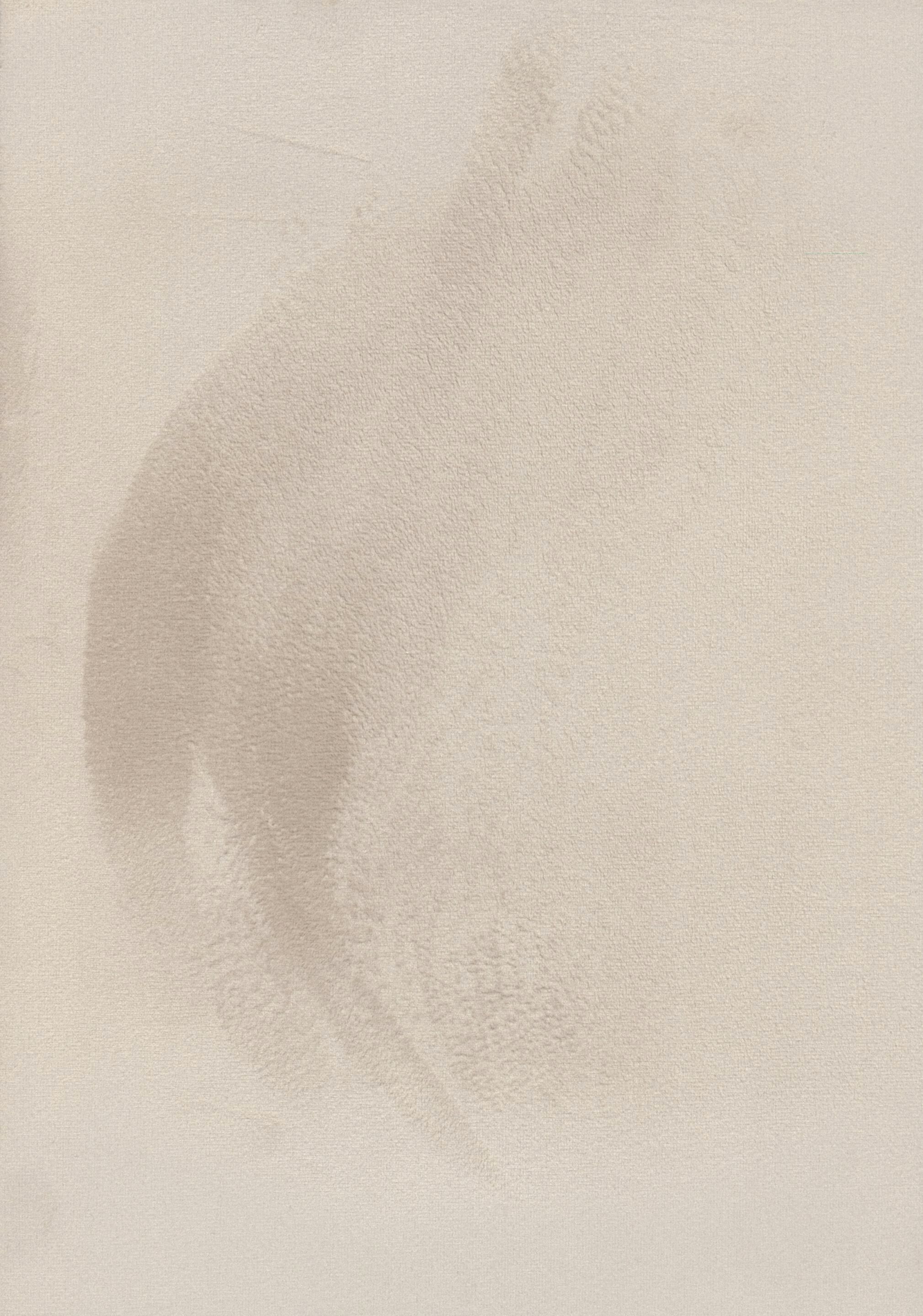 Обои с лазерной маркировкой на бархате TEXAM Королевский ARCH-00006326 - Вид №3