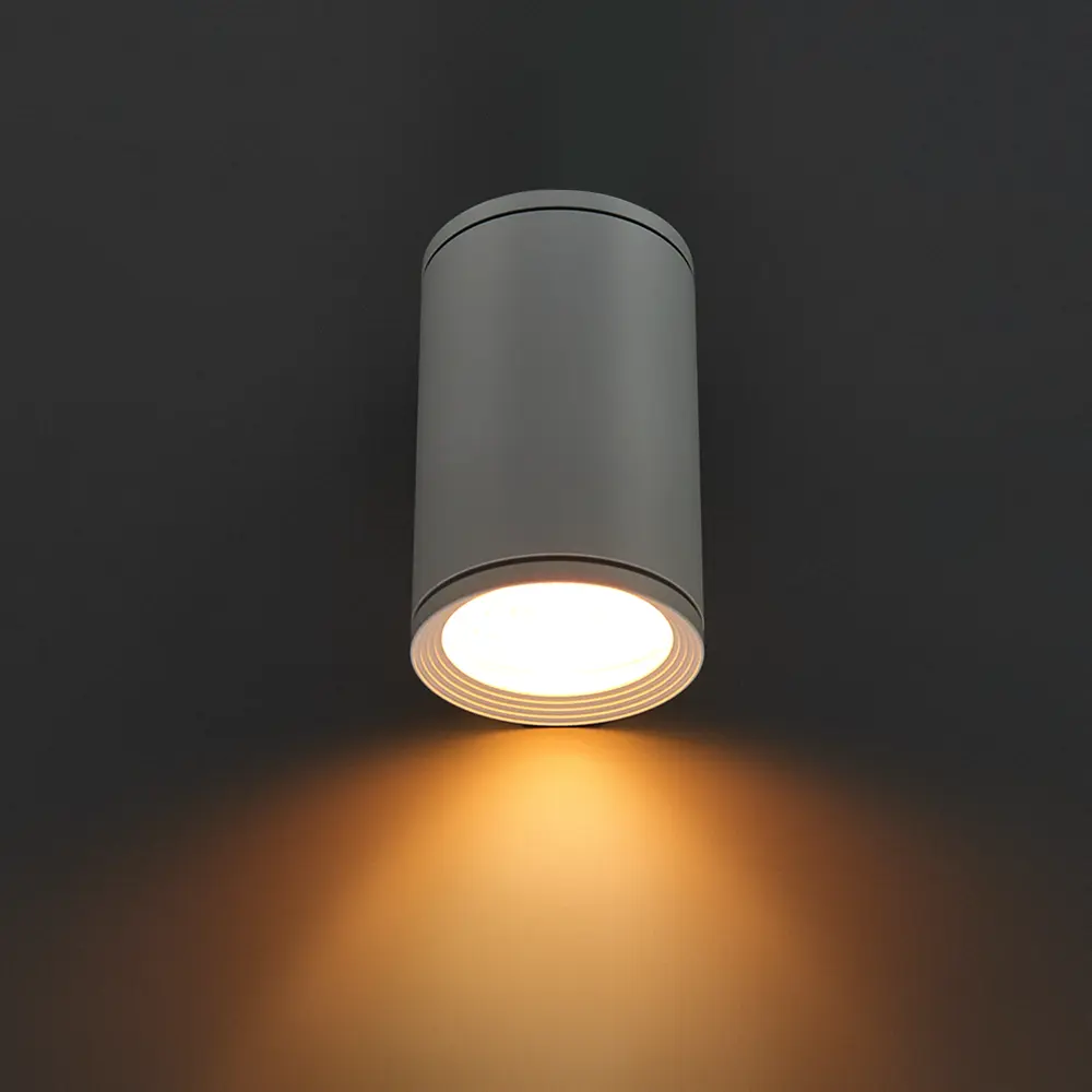 Светильник накладной Light 2101 IP65 1ХGU10Х10W, цвет белый 83960095 STLM-2061225 Elektrostandard  - Вид №1