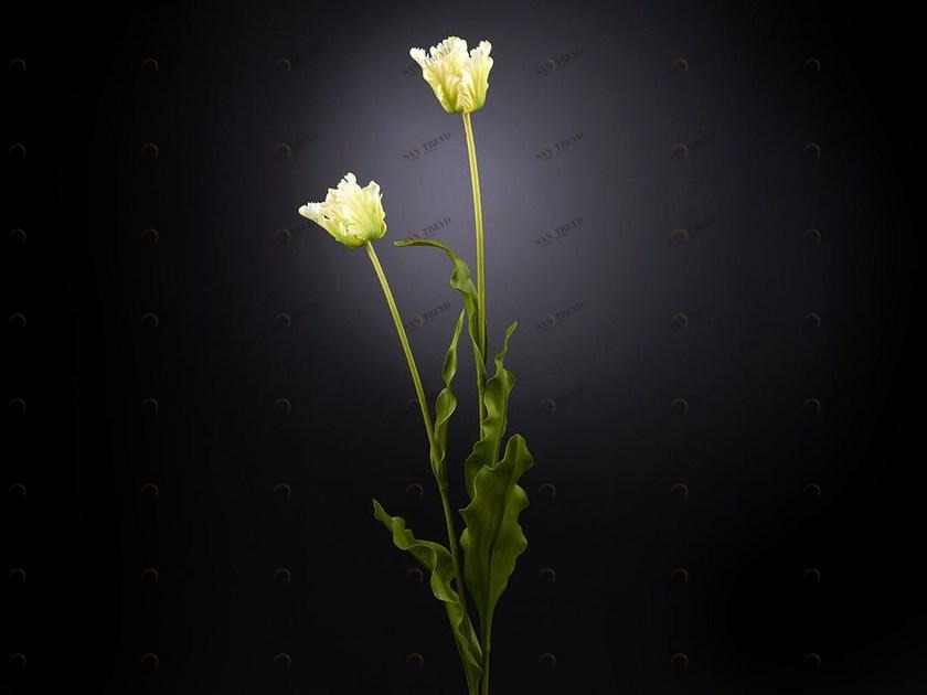 VGnewtrend Искусственное растение из полиэстера  1001665.61 