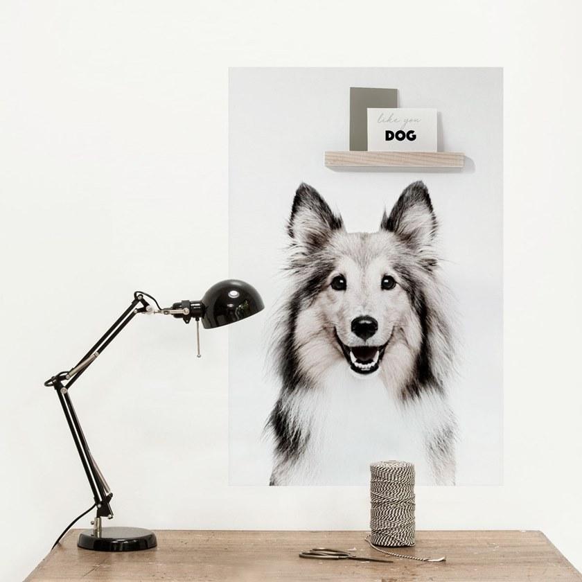 Groovy Magnets Клейкое виниловое украшение  St-92x60-d  - Вид №4