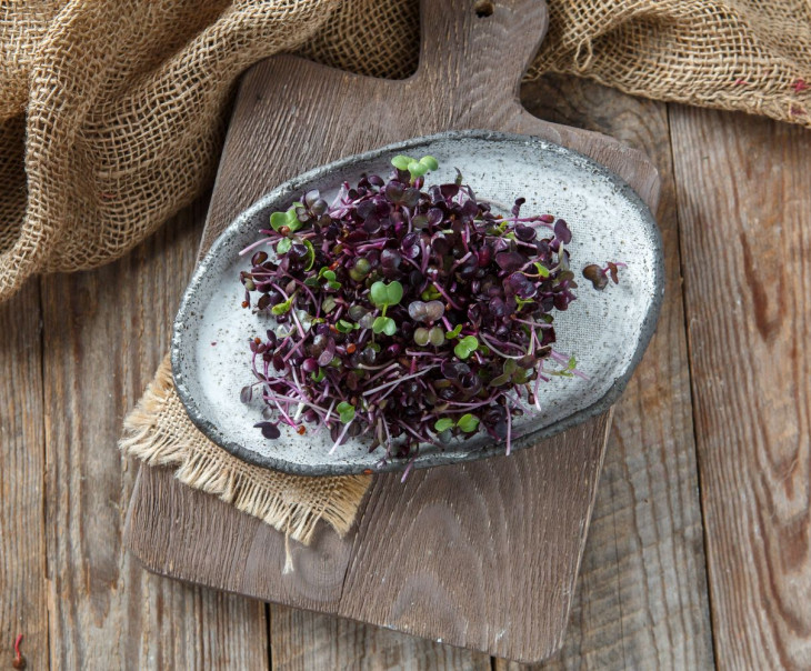 4171 Микрозелень редиса фиолетового "Санго" Вкусляндия 