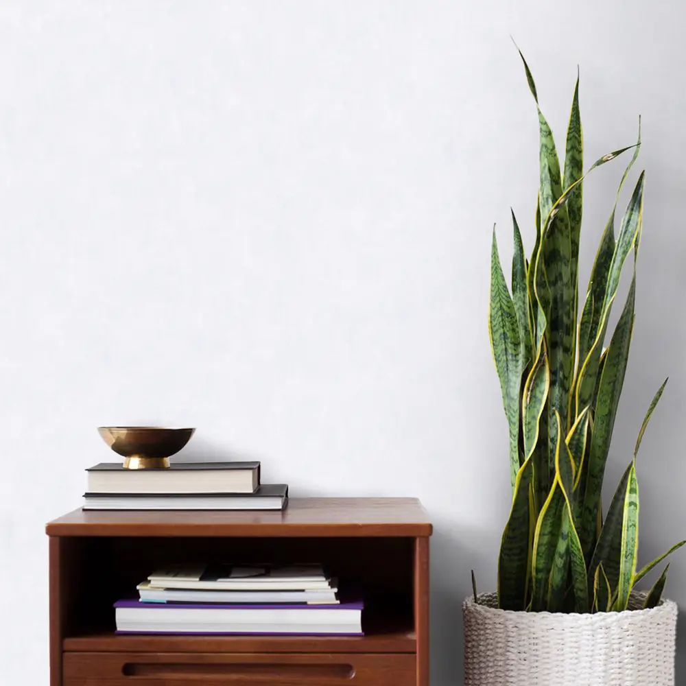 Обои флизелиновые Erismann Пленэр серые 1.06 м 61065-03 STLM-2168638 - Вид №1