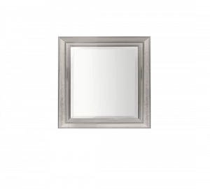 Gentry Home Байрон Mirror wood frame Серебряный лист GH100791