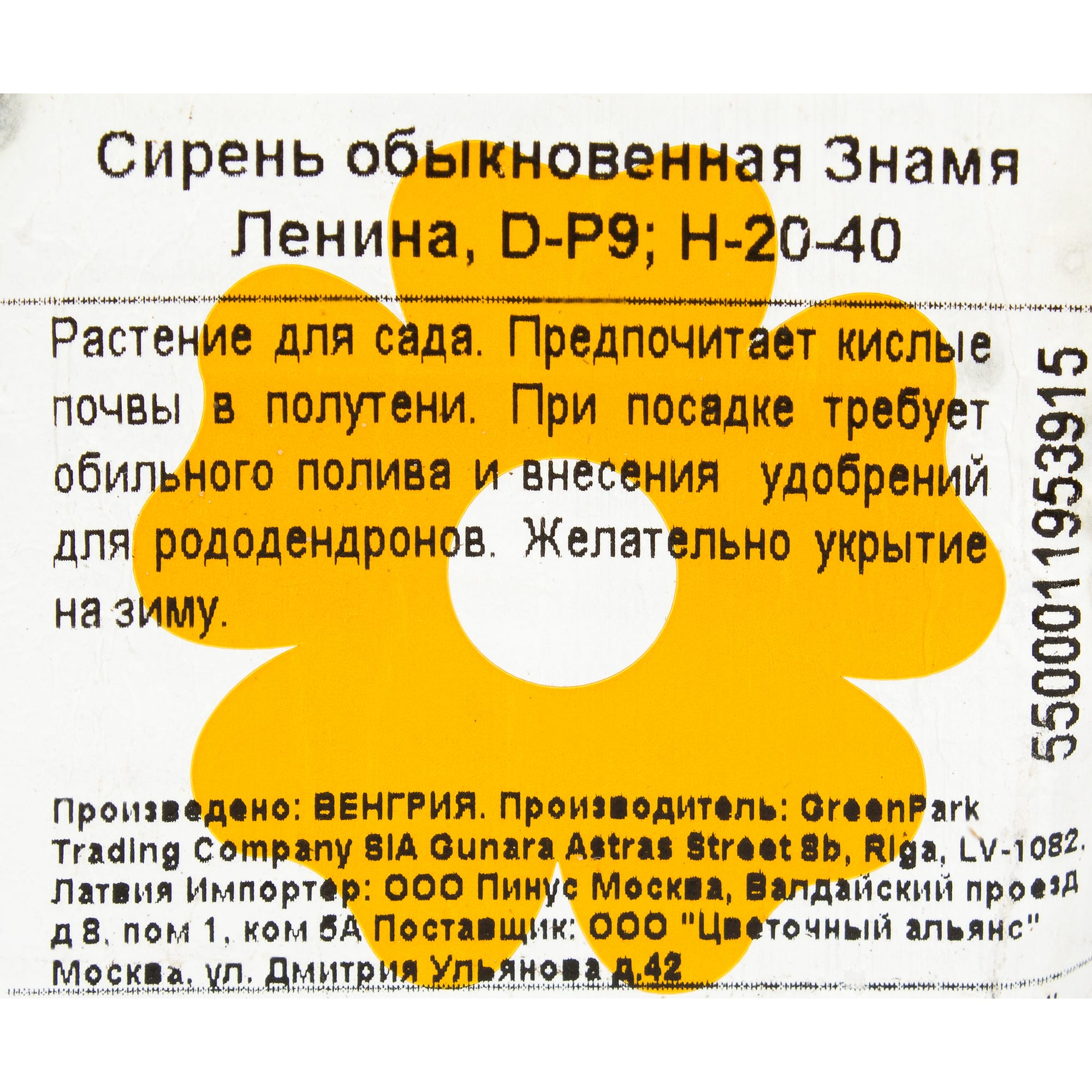 82176150 Сирень обыкновенная «Знамя Ленина» P9 Santreyd  - Вид №1