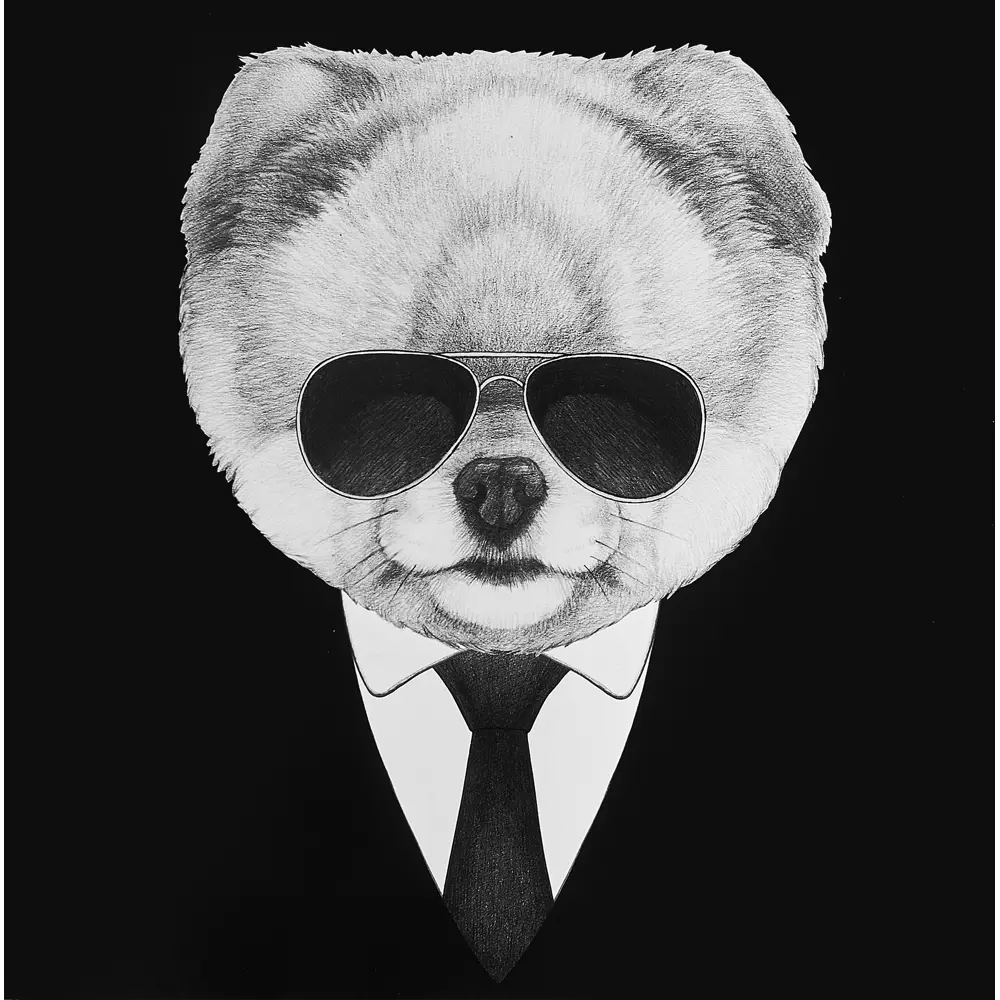 Постер Шпиц в смокинге 30x30 см Santreyd STLM-2012517