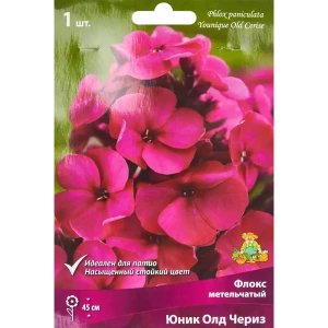 Флокс метельчатый Юник Олд Чериз от ПОИСК - пурпурно-розовое цветение 86410491