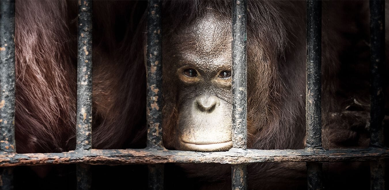 Обои Creativespace Prêt-à-porter ARCH-00072818 - Вид №1