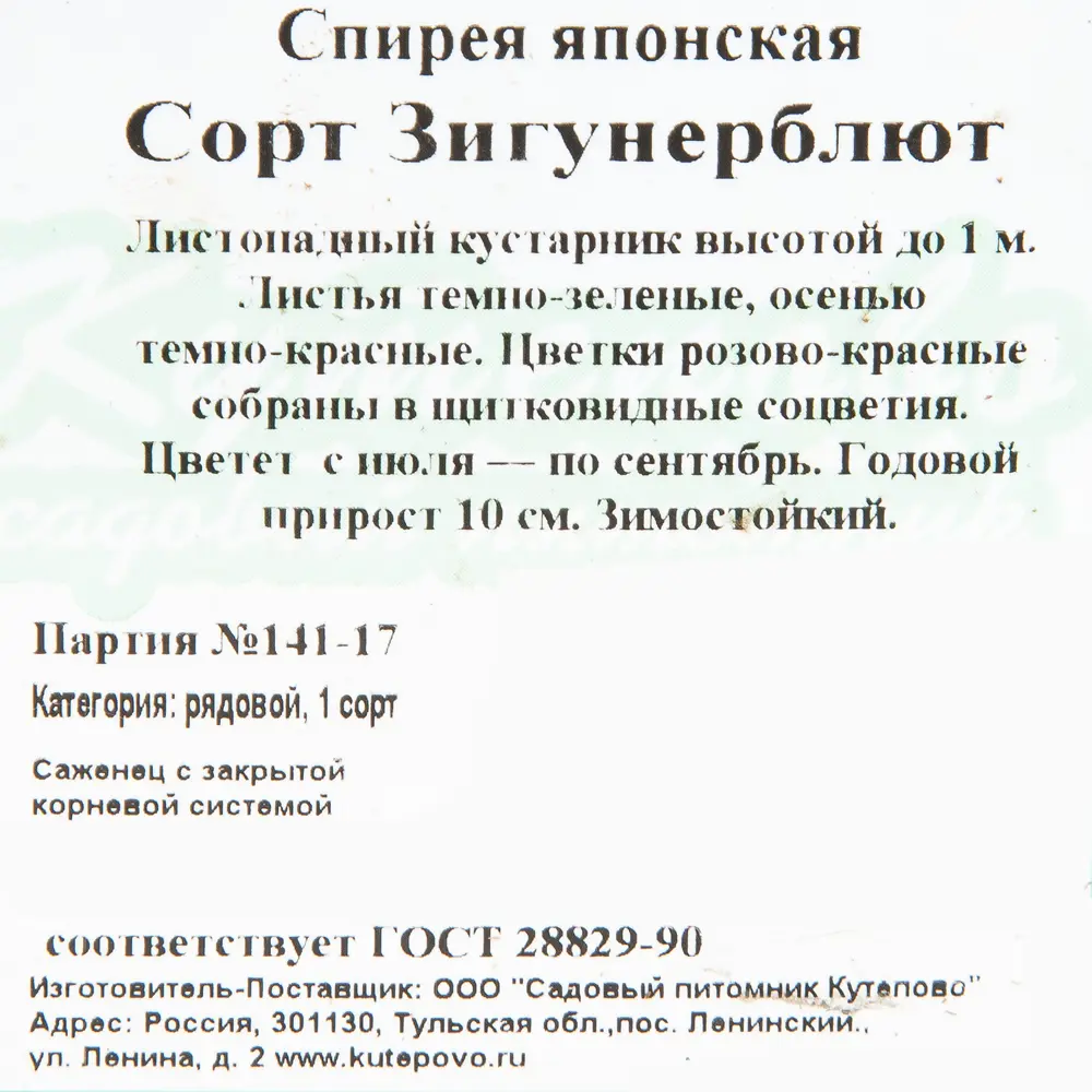 Спирея японская С2 «Зигунер Блют» h20 81954843 STLM-2142528 Santreyd  - Вид №1