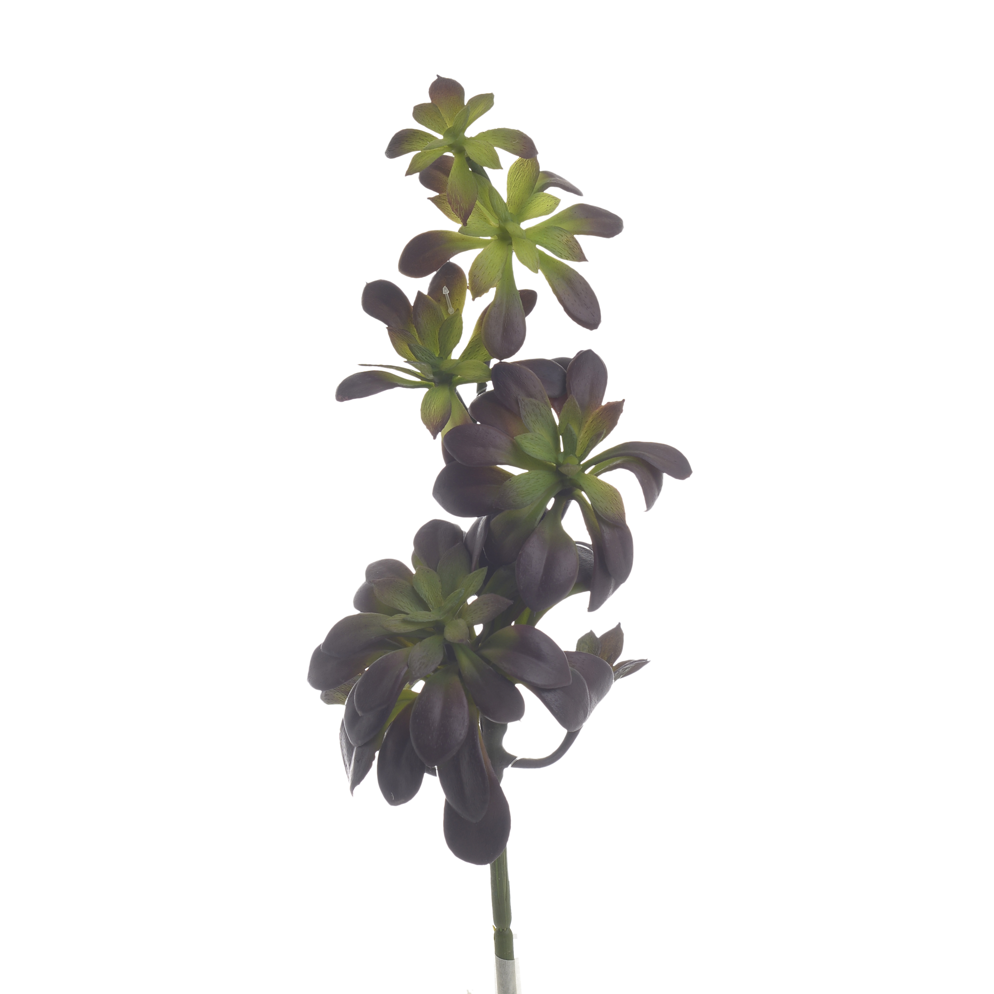 3885084.0059 ИСКУССТВЕННЫЙ ЦВЕТОК TO4ROOMS  - Вид №1