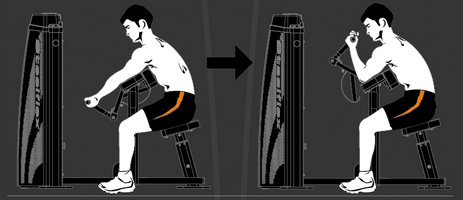 HBC600 Steel flex hope hbc600 бицепс машина Steel Flex Hope - Вид №1