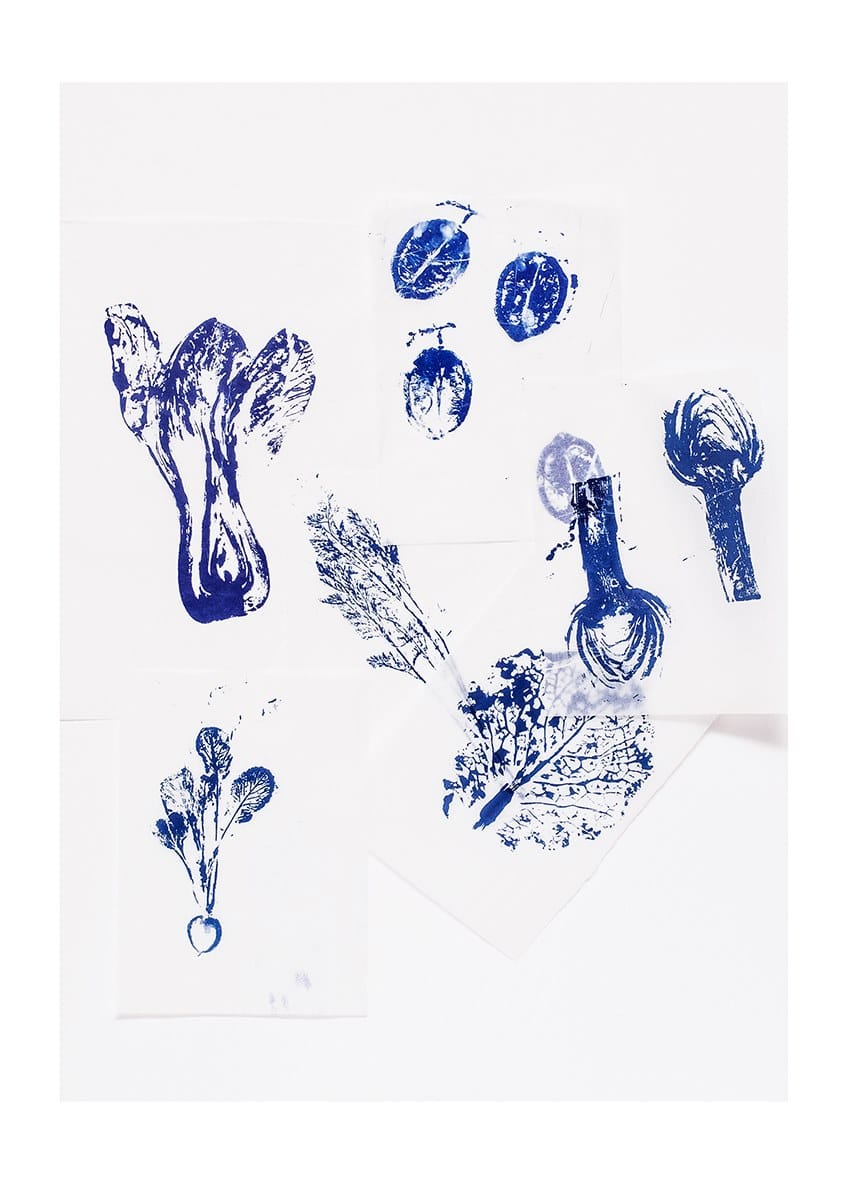 Фарфоровая десертная тарелка Non Sans Raison Végétal ARCH-00053044 - Вид №2